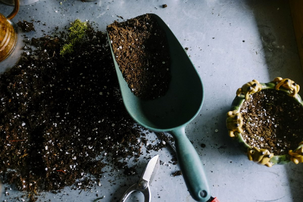 Garden tools and soil prepared for planting